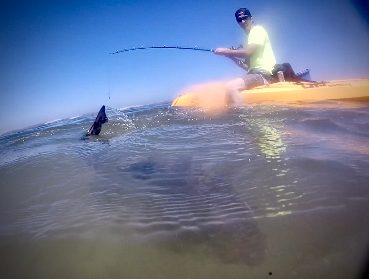 Sharks & Kayaks: Capture the Fishing Tale of a Lifetime