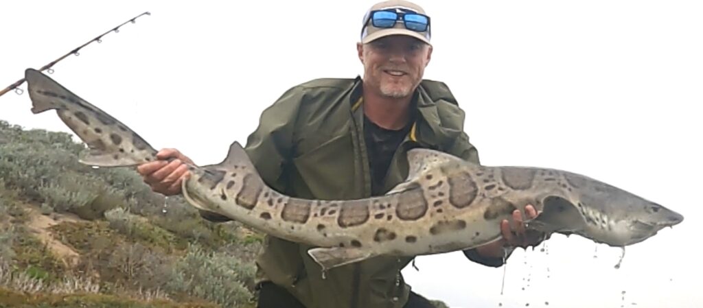 Kayak fishing for sharks in California