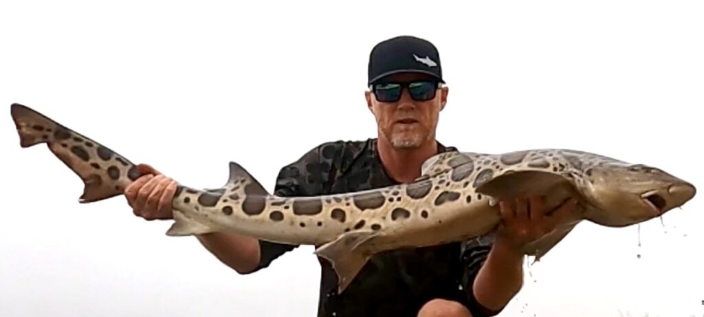 Kayak fishing for sharks in California