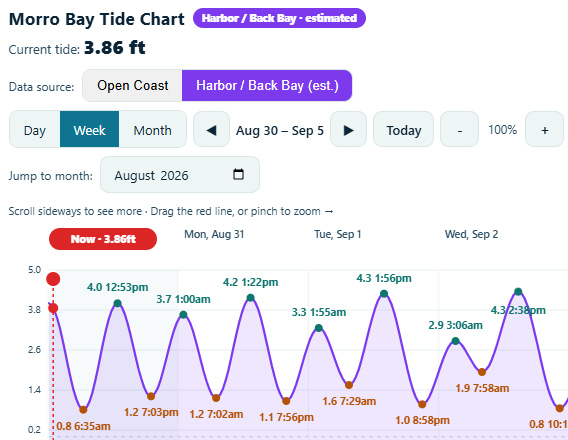 Custom Morro Bay Harbor Tide Charts